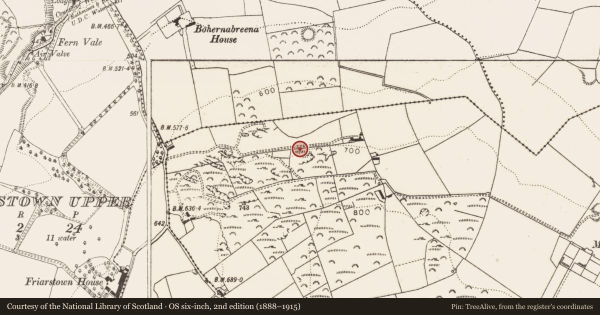Ordnance Survey six-inch map, 2nd edition (1888–1915) covering the location of Pit-burial, Glassamucky, County Dublin, with a pin at the register's coordinates