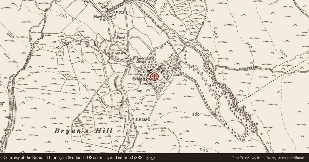 Ordnance Survey six-inch map, 2nd edition (1888–1915) covering the location of Standing stone, Castlekelly, County Dublin, with a pin at the register's coordinates