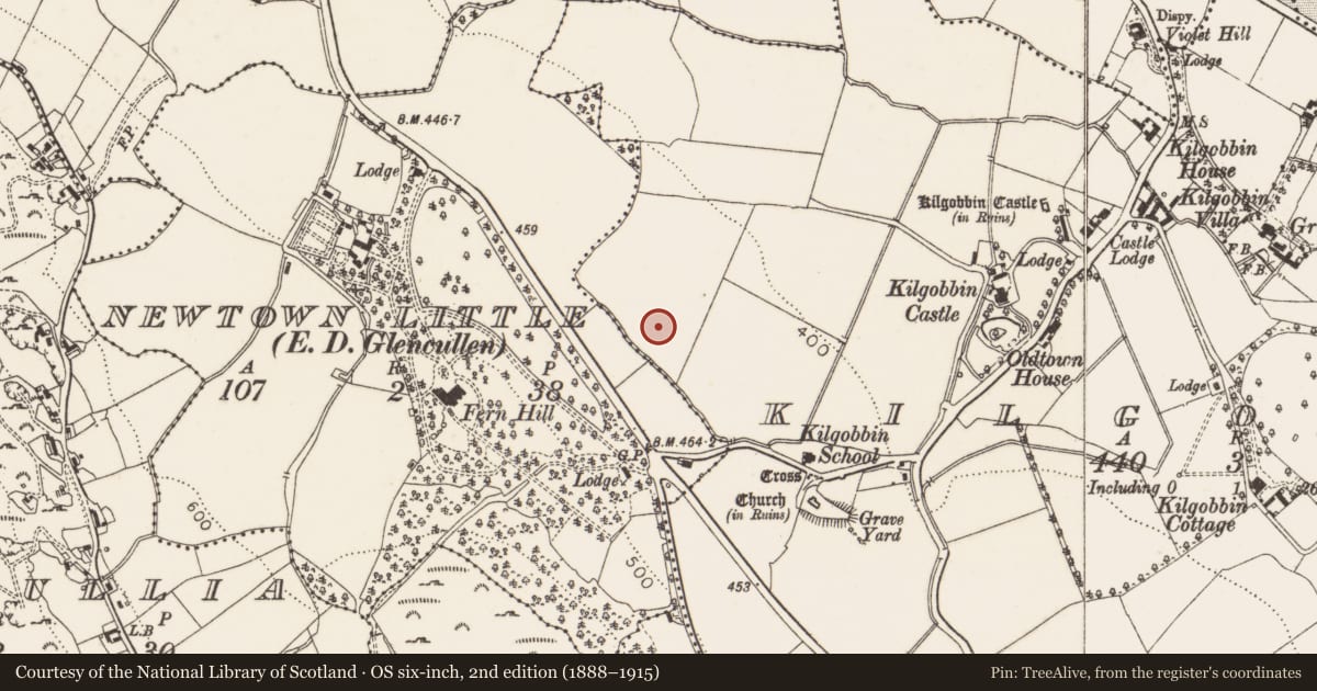 Ordnance Survey six-inch map, 2nd edition (1888–1915) covering the location of Pit-burial, Kilgobbin, County Dublin, with a pin at the register's coordinates