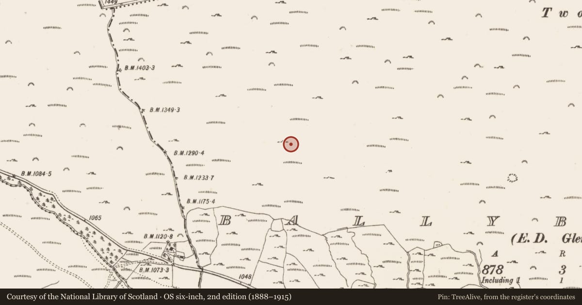 Ordnance Survey six-inch map, 2nd edition (1888–1915) covering the location of Standing stone, Ballybrack, County Dublin, with a pin at the register's coordinates