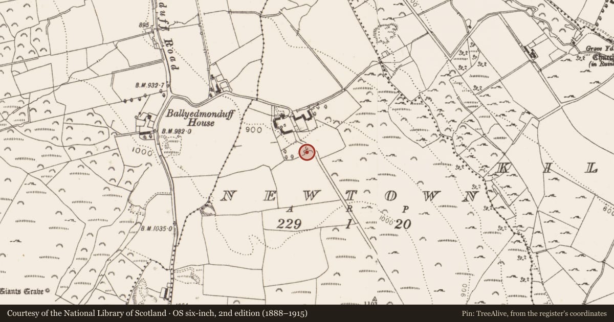 Ordnance Survey six-inch map, 2nd edition (1888–1915) covering the location of Mass-house, Newtown, County Dublin, with a pin at the register's coordinates