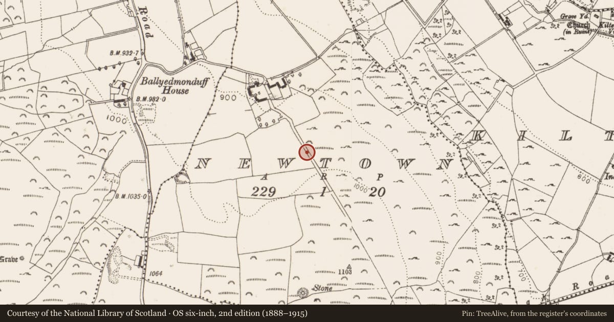 Ordnance Survey six-inch map, 2nd edition (1888–1915) covering the location of Road - road/trackway, Newtown, County Dublin, with a pin at the register's coordinates