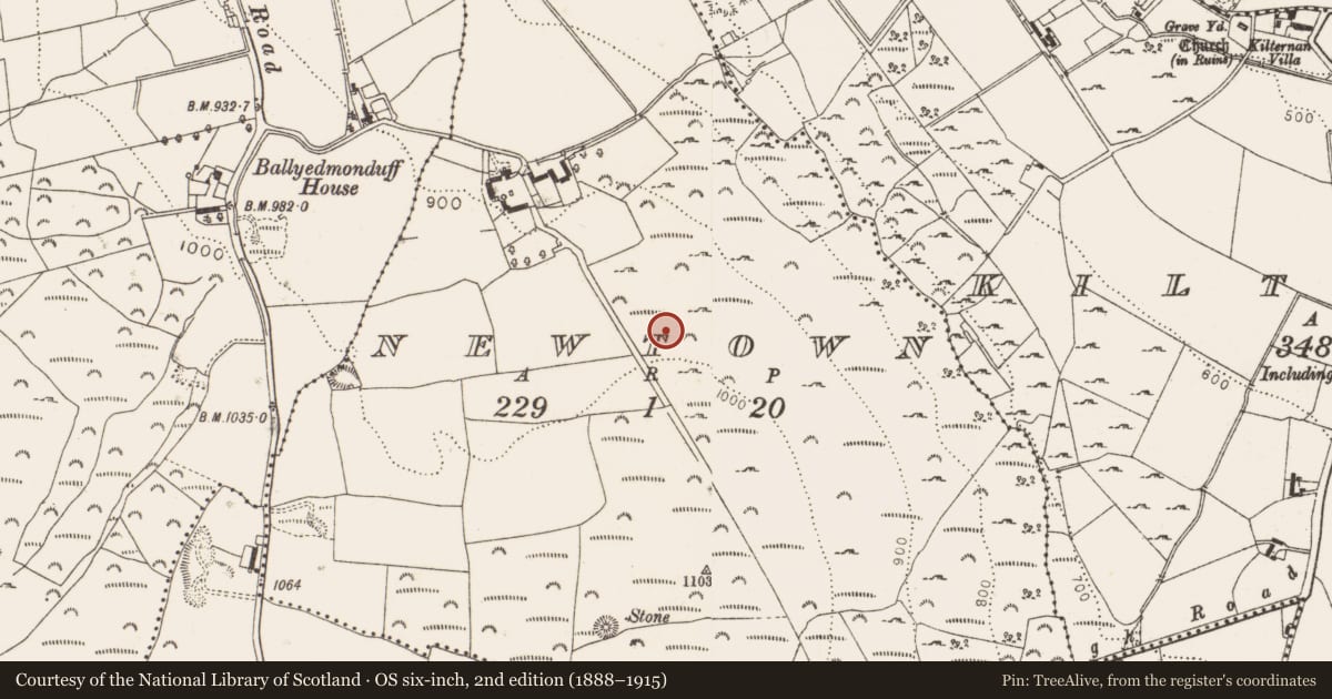 Ordnance Survey six-inch map, 2nd edition (1888–1915) covering the location of Mound, Newtown, County Dublin, with a pin at the register's coordinates