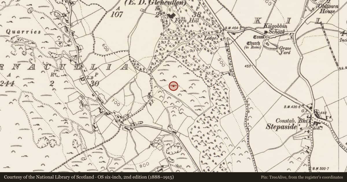 Ordnance Survey six-inch map, 2nd edition (1888–1915) covering the location of Cupmarked stone, County Dublin, with a pin at the register's coordinates