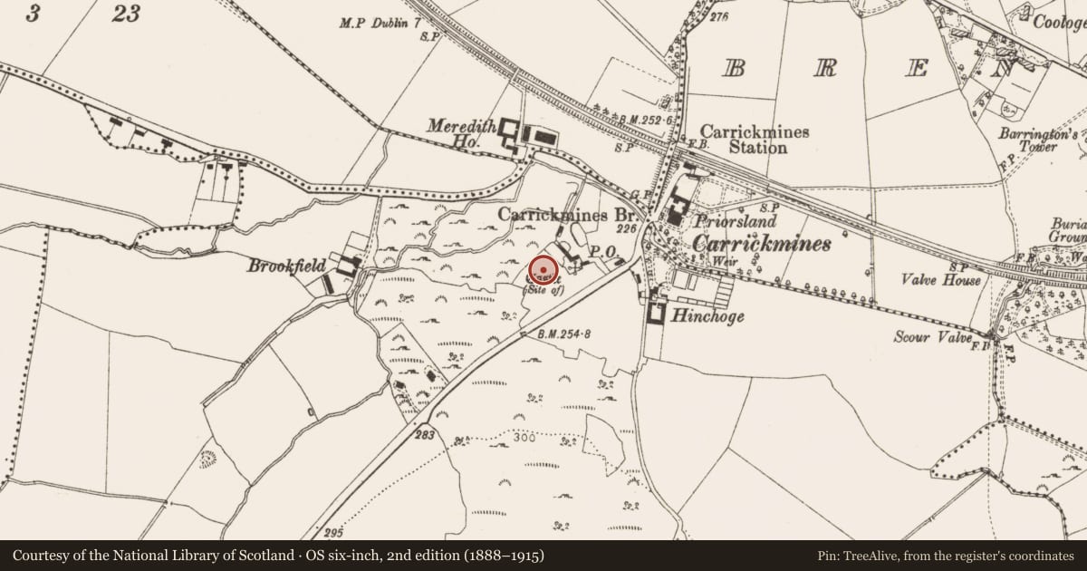Ordnance Survey six-inch map, 2nd edition (1888–1915) covering the location of Settlement deserted - medieval, Carrickmines Great, County Dublin, with a pin at the register's coordinates