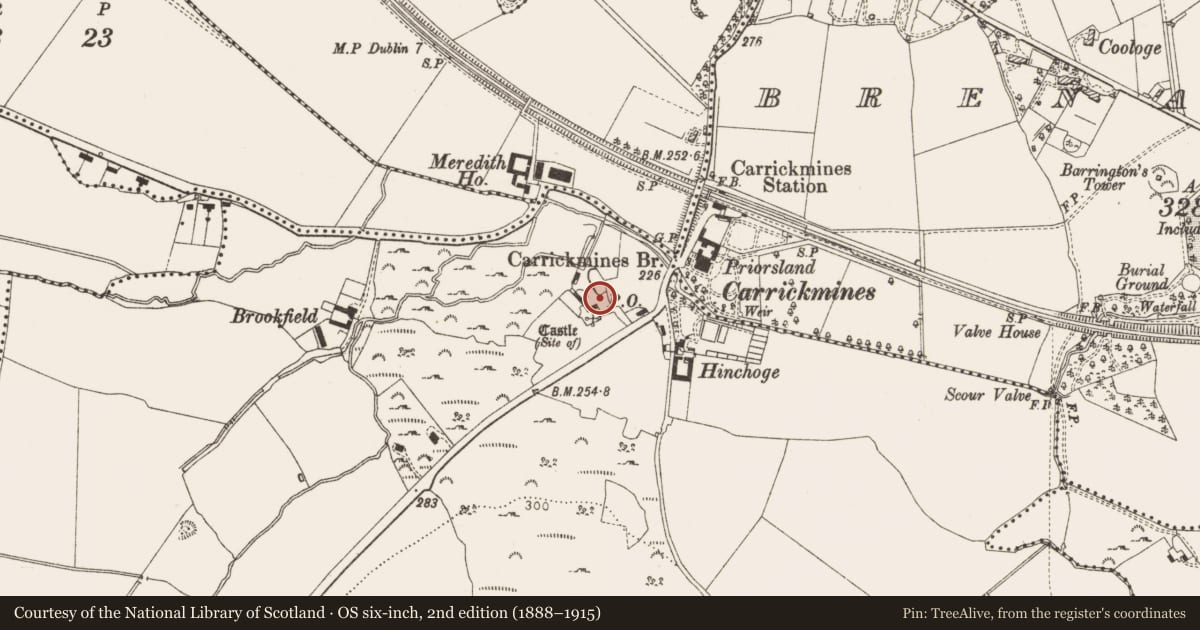 Ordnance Survey six-inch map, 2nd edition (1888–1915) covering the location of Castle - unclassified, Carrickmines Great, County Dublin, with a pin at the register's coordinates