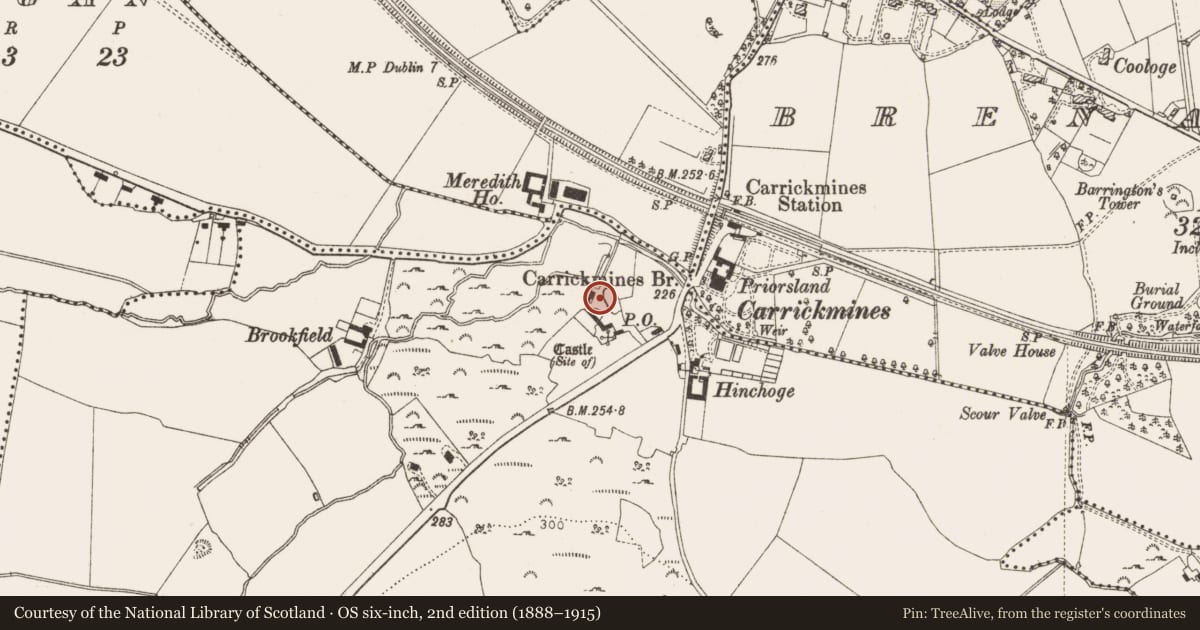 Ordnance Survey six-inch map, 2nd edition (1888–1915) covering the location of Bawn, Carrickmines Great, County Dublin, with a pin at the register's coordinates