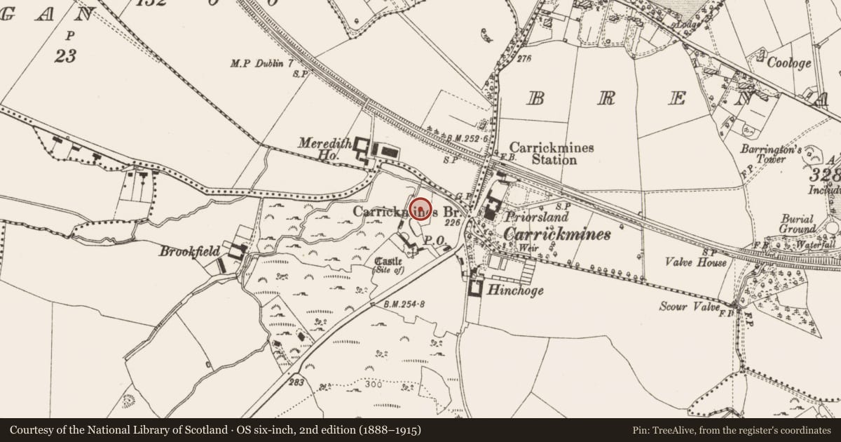 Ordnance Survey six-inch map, 2nd edition (1888–1915) covering the location of Moated site, Carrickmines Great, County Dublin, with a pin at the register's coordinates