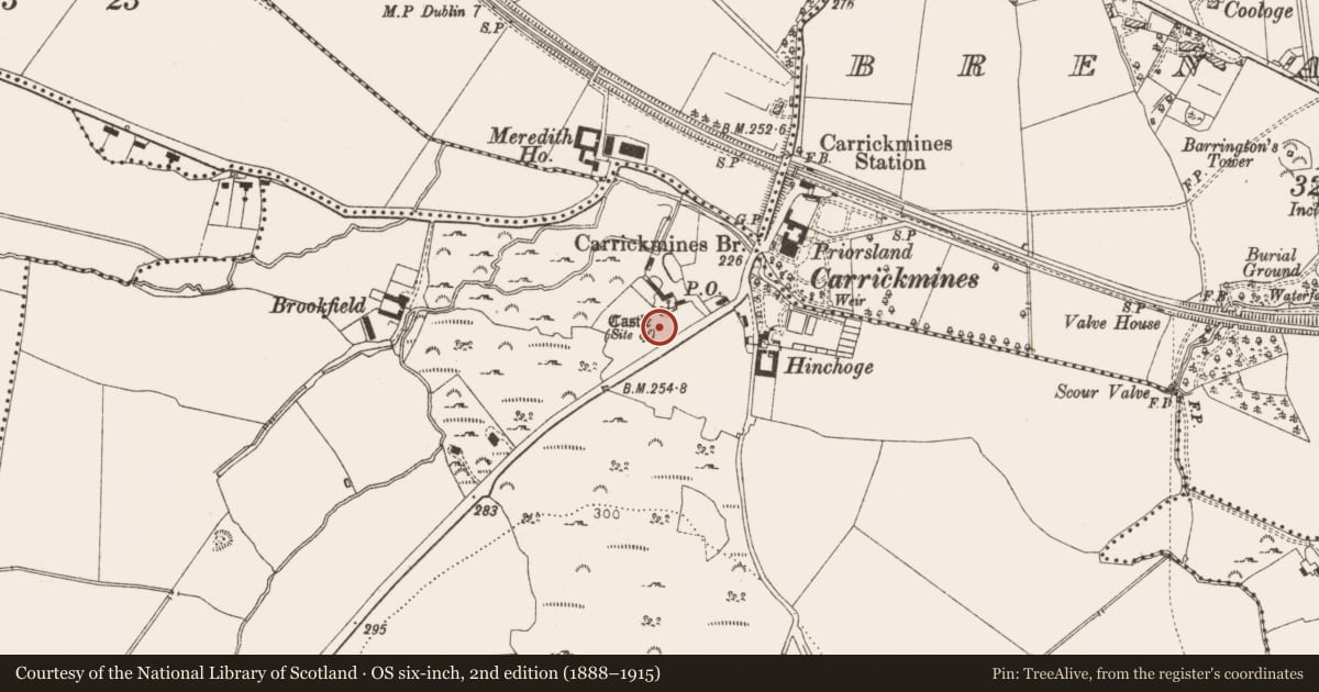 Ordnance Survey six-inch map, 2nd edition (1888–1915) covering the location of Water mill - horizontal-wheeled, Carrickmines Great, County Dublin, with a pin at the register's coordinates