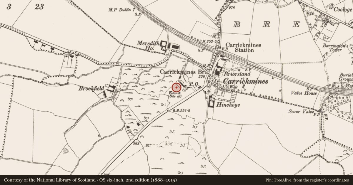 Ordnance Survey six-inch map, 2nd edition (1888–1915) covering the location of Enclosure, Carrickmines Great, County Dublin, with a pin at the register's coordinates