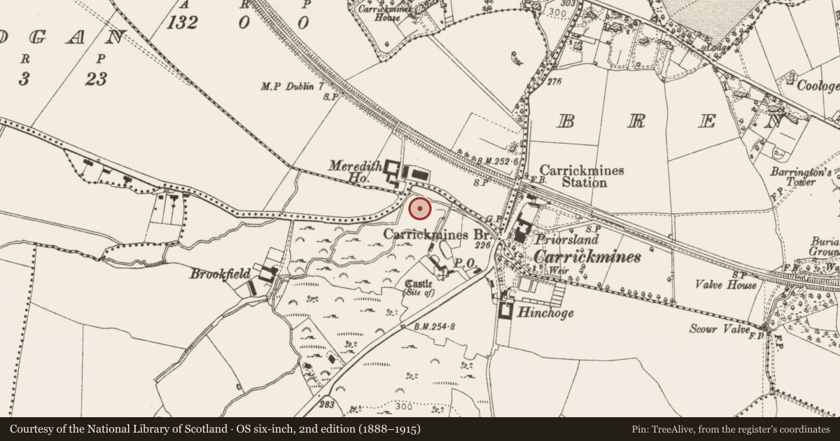 Ordnance Survey six-inch map, 2nd edition (1888–1915) covering the location of Kiln - corn-drying, Carrickmines Great, County Dublin, with a pin at the register's coordinates
