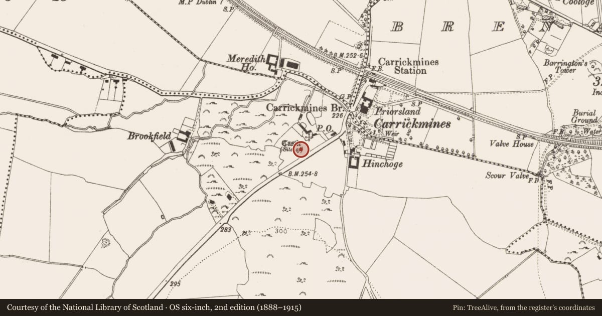 Ordnance Survey six-inch map, 2nd edition (1888–1915) covering the location of Kiln, Carrickmines Great, County Dublin, with a pin at the register's coordinates