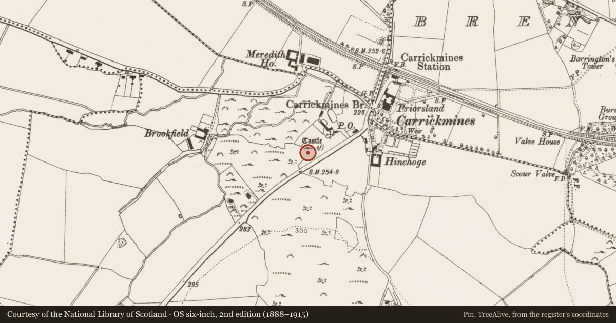 Ordnance Survey six-inch map, 2nd edition (1888–1915) covering the location of Building, Carrickmines Great, County Dublin, with a pin at the register's coordinates