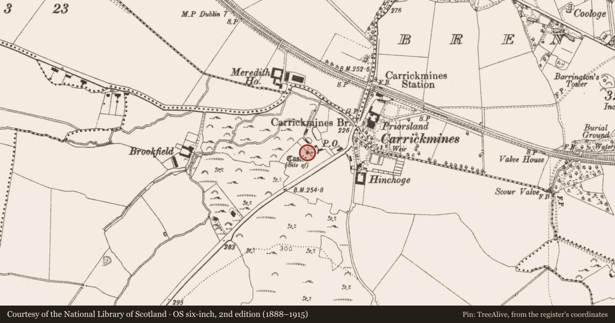 Ordnance Survey six-inch map, 2nd edition (1888–1915) covering the location of Building, Carrickmines Great, County Dublin, with a pin at the register's coordinates