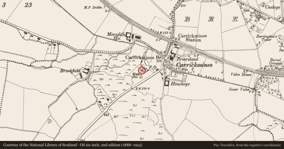 Ordnance Survey six-inch map, 2nd edition (1888–1915) covering the location of Burial, Carrickmines Great, County Dublin, with a pin at the register's coordinates