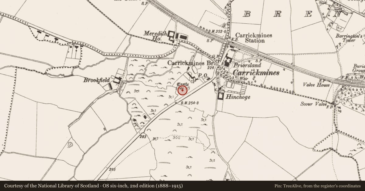 Ordnance Survey six-inch map, 2nd edition (1888–1915) covering the location of Prehistoric site - lithic scatter, Carrickmines Great, County Dublin, with a pin at the register's coordinates
