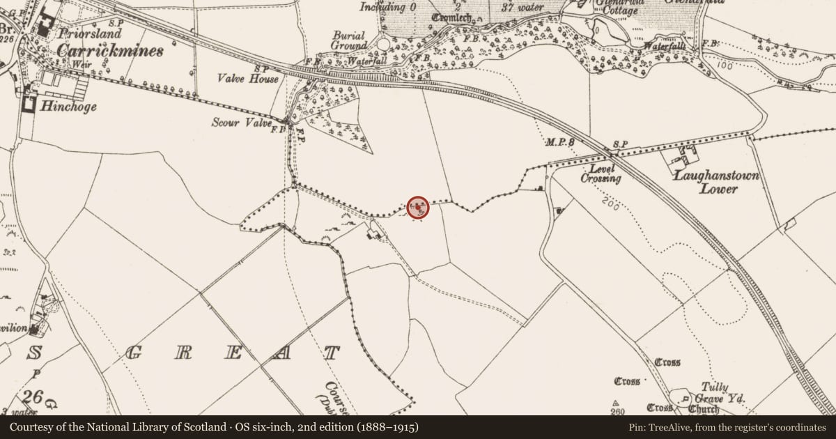 Ordnance Survey six-inch map, 2nd edition (1888–1915) covering the location of Enclosure, Laughanstown, County Dublin, with a pin at the register's coordinates