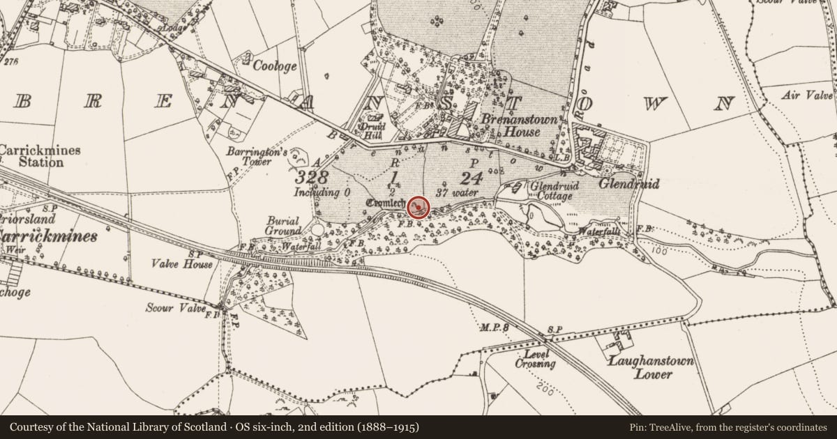 Ordnance Survey six-inch map, 2nd edition (1888–1915) covering the location of Megalithic tomb - portal tomb, Brenanstown, County Dublin, with a pin at the register's coordinates