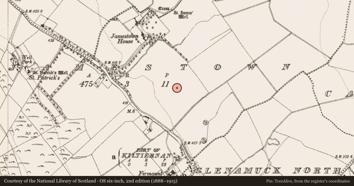 Ordnance Survey six-inch map, 2nd edition (1888–1915) covering the location of Cist, Jamestown, County Dublin, with a pin at the register's coordinates