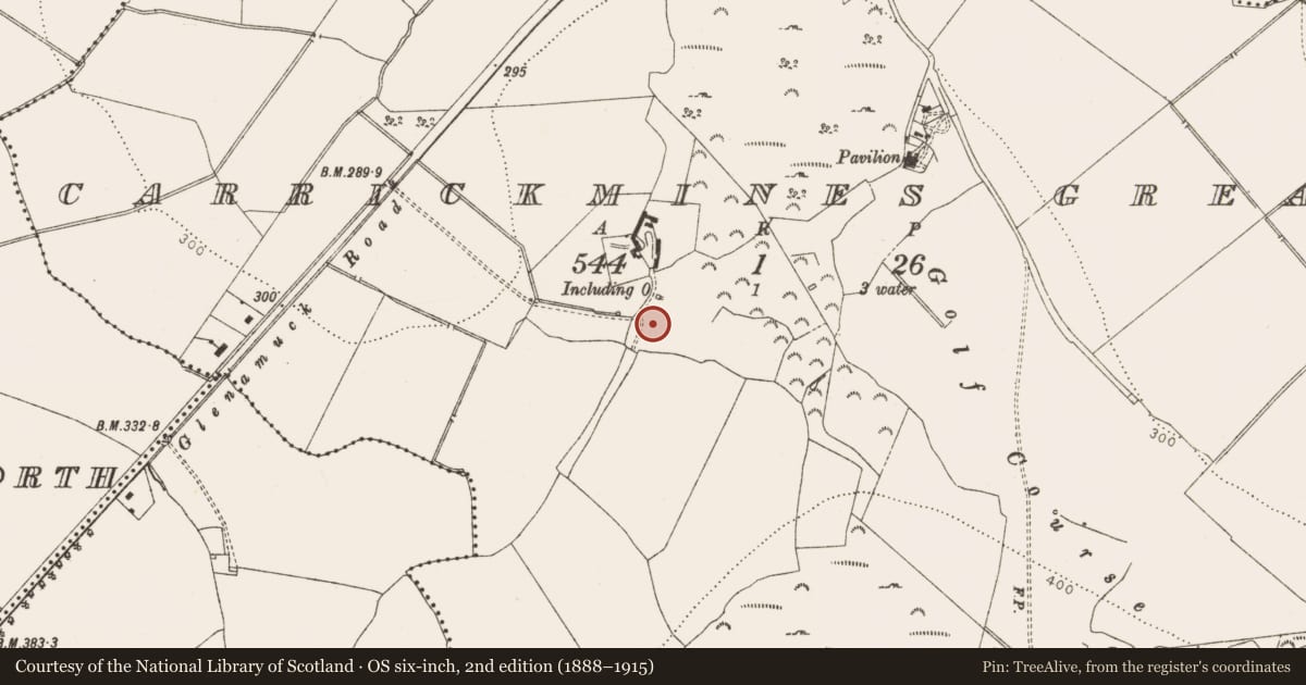 Ordnance Survey six-inch map, 2nd edition (1888–1915) covering the location of Cross, Carrickmines Great, County Dublin, with a pin at the register's coordinates