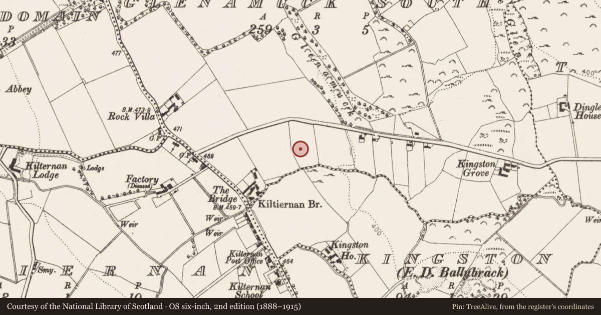 Ordnance Survey six-inch map, 2nd edition (1888–1915) covering the location of Enclosure, Glenamuck South, Kingston, County Dublin, with a pin at the register's coordinates