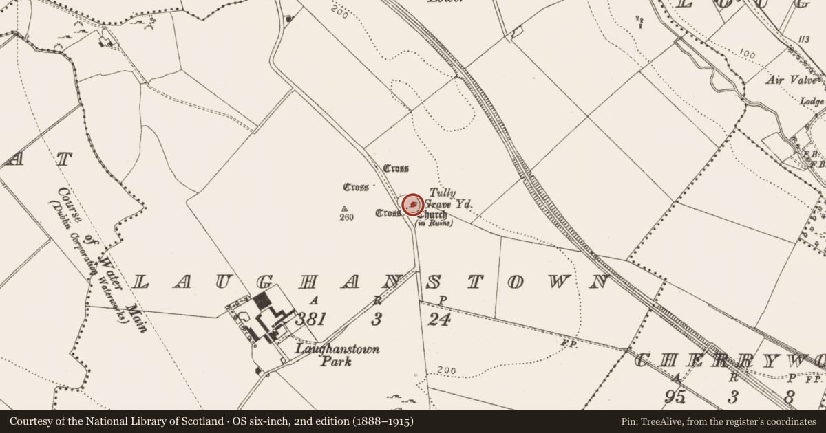 Ordnance Survey six-inch map, 2nd edition (1888–1915) covering the location of Graveyard, Laughanstown, County Dublin, with a pin at the register's coordinates