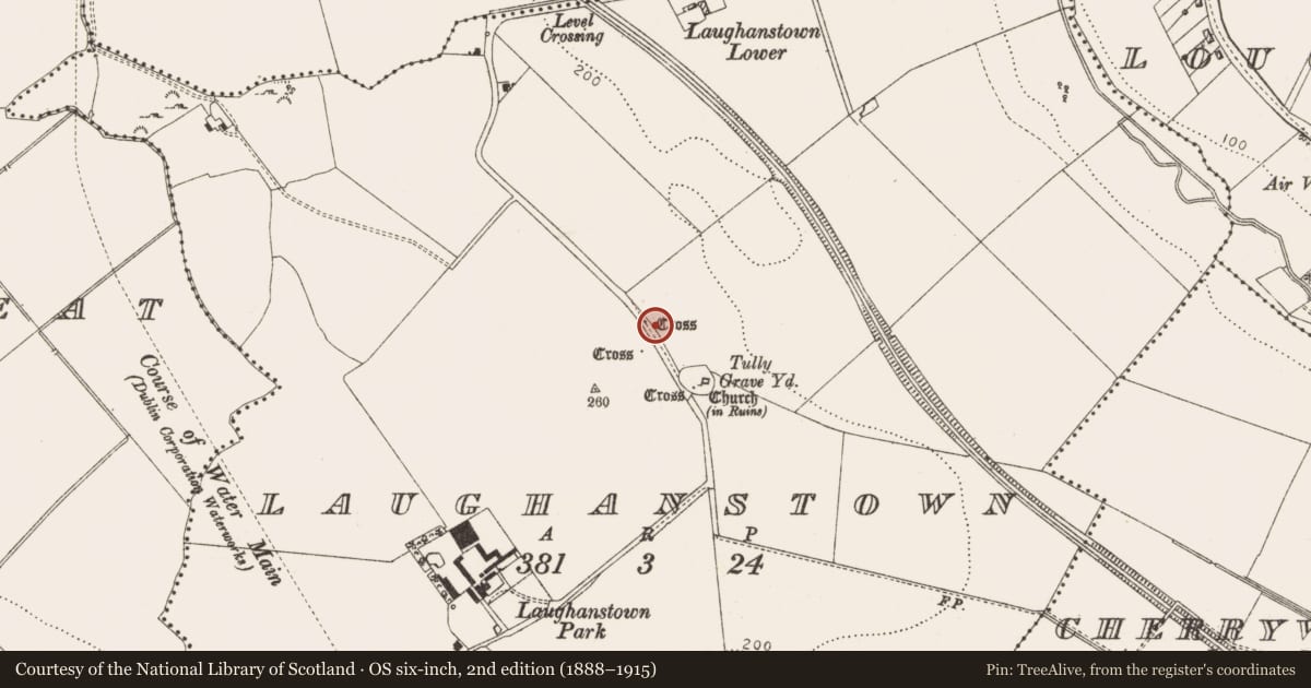 Ordnance Survey six-inch map, 2nd edition (1888–1915) covering the location of Cross - High cross, Laughanstown, County Dublin, with a pin at the register's coordinates