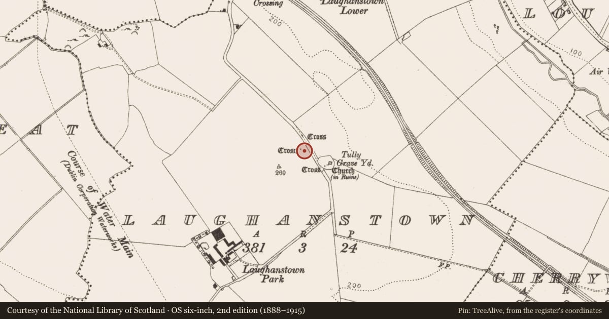 Ordnance Survey six-inch map, 2nd edition (1888–1915) covering the location of Cross, Laughanstown, County Dublin, with a pin at the register's coordinates
