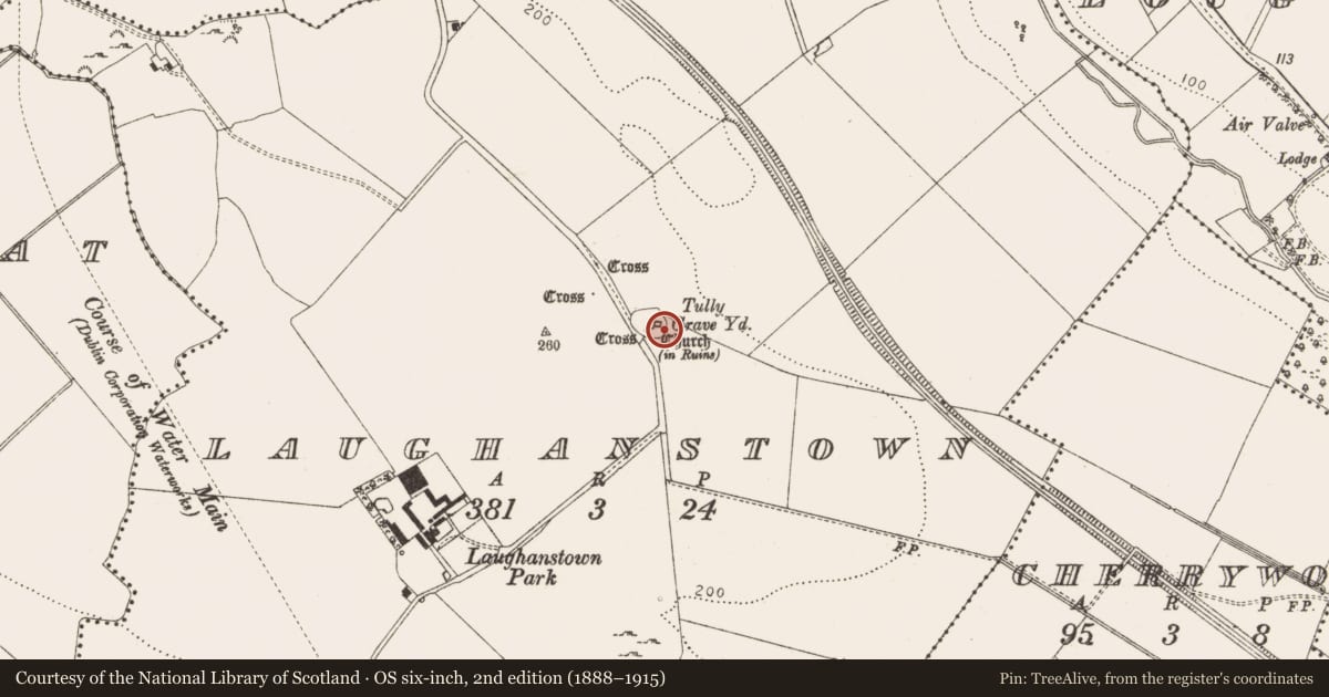 Ordnance Survey six-inch map, 2nd edition (1888–1915) covering the location of Cross-inscribed stone, Laughanstown, County Dublin, with a pin at the register's coordinates