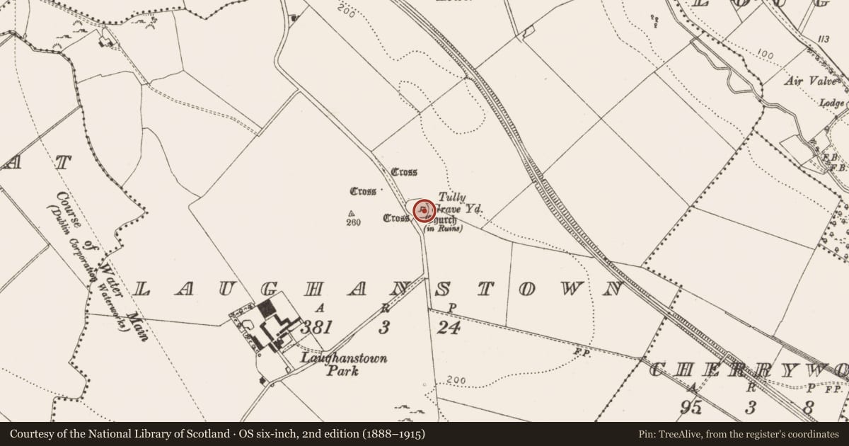 Ordnance Survey six-inch map, 2nd edition (1888–1915) covering the location of Graveslab, Laughanstown, County Dublin, with a pin at the register's coordinates