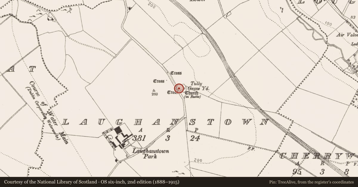 Ordnance Survey six-inch map, 2nd edition (1888–1915) covering the location of Graveslab, Laughanstown, County Dublin, with a pin at the register's coordinates