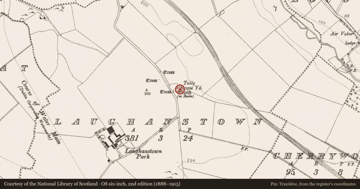 Ordnance Survey six-inch map, 2nd edition (1888–1915) covering the location of Graveslab, Laughanstown, County Dublin, with a pin at the register's coordinates