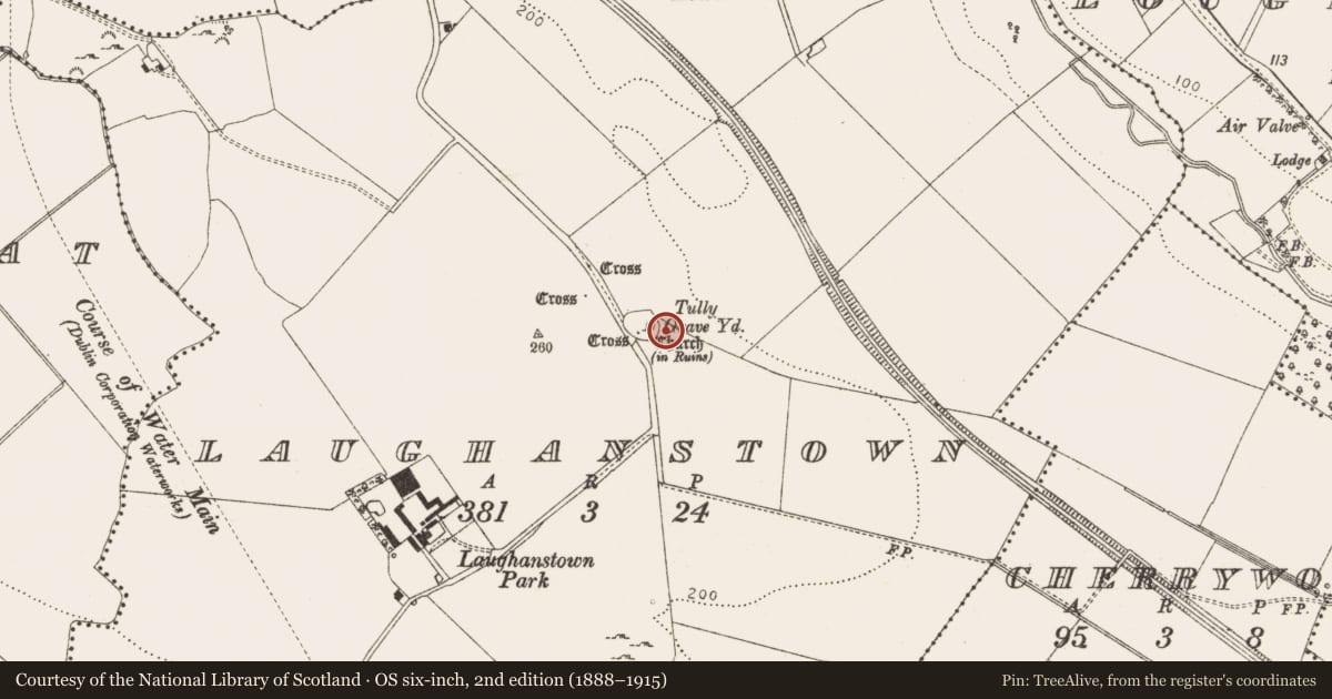 Ordnance Survey six-inch map, 2nd edition (1888–1915) covering the location of Graveslab, Laughanstown, County Dublin, with a pin at the register's coordinates