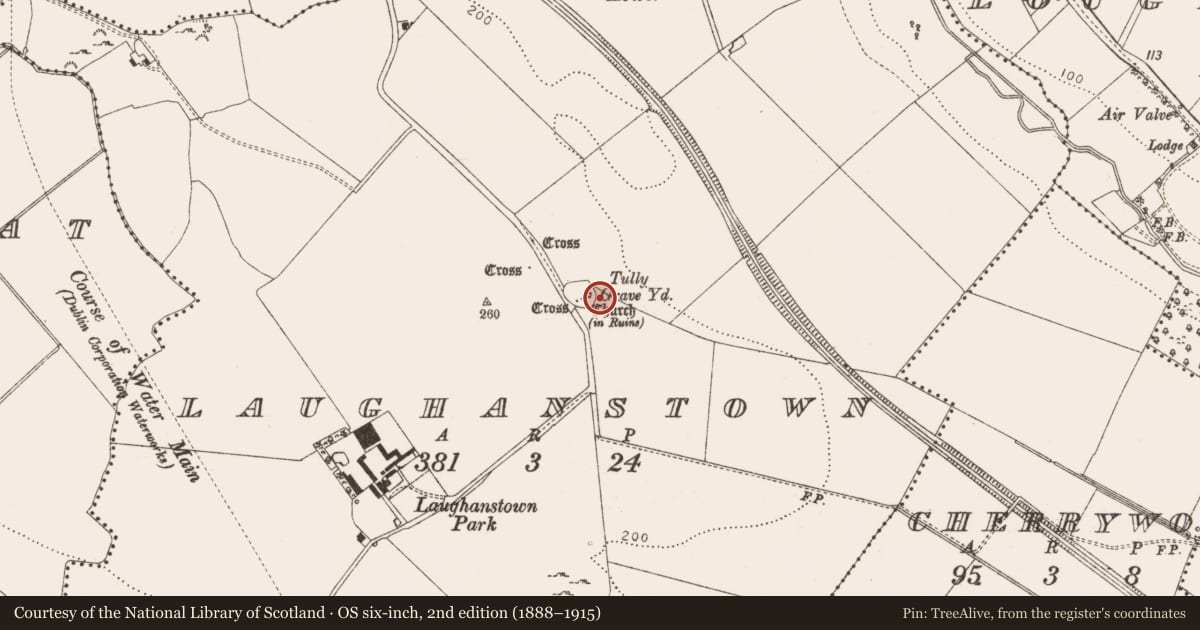 Ordnance Survey six-inch map, 2nd edition (1888–1915) covering the location of Graveslab, Laughanstown, County Dublin, with a pin at the register's coordinates