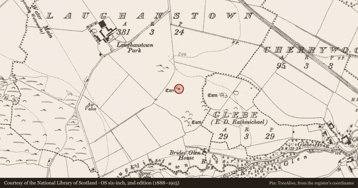 Ordnance Survey six-inch map, 2nd edition (1888–1915) covering the location of Megalithic tomb - wedge tomb, Laughanstown, County Dublin, with a pin at the register's coordinates