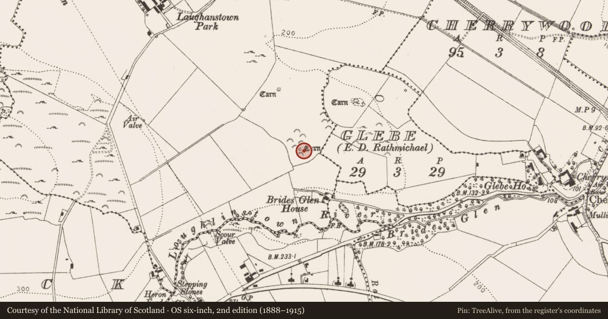 Ordnance Survey six-inch map, 2nd edition (1888–1915) covering the location of Cairn - unclassified, Laughanstown, County Dublin, with a pin at the register's coordinates