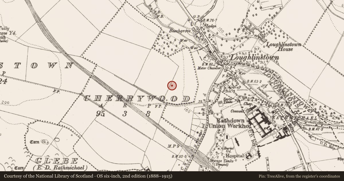 Ordnance Survey six-inch map, 2nd edition (1888–1915) covering the location of Enclosure, Cherrywood, County Dublin, with a pin at the register's coordinates