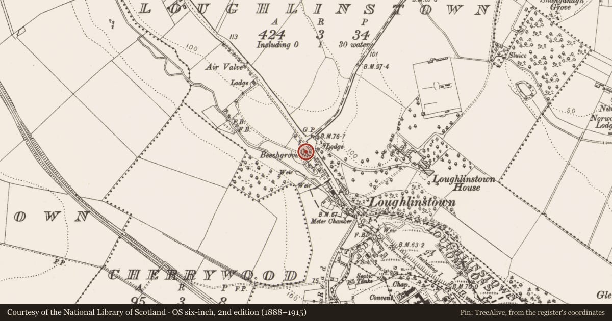 Ordnance Survey six-inch map, 2nd edition (1888–1915) covering the location of House - 18th/19th century, Loughlinstown, County Dublin, with a pin at the register's coordinates