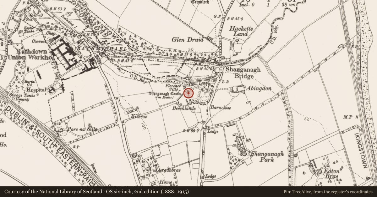 Ordnance Survey six-inch map, 2nd edition (1888–1915) covering the location of Water mill - unclassified, Shanganagh, County Dublin, with a pin at the register's coordinates