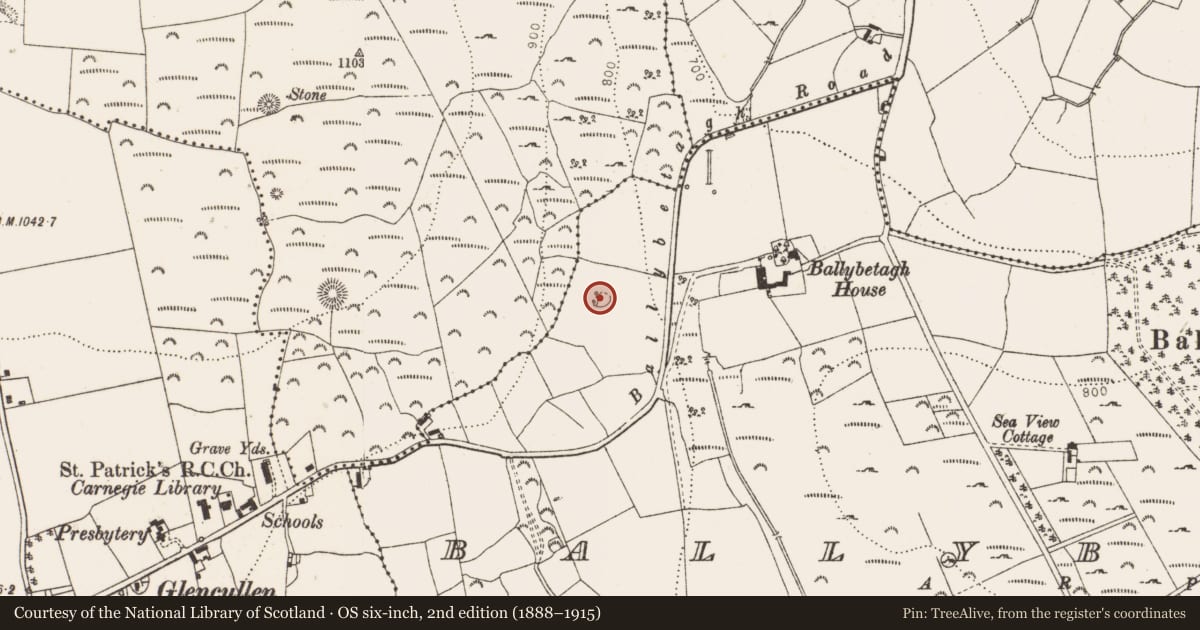 Ordnance Survey six-inch map, 2nd edition (1888–1915) covering the location of Enclosure, Ballybetagh, County Dublin, with a pin at the register's coordinates