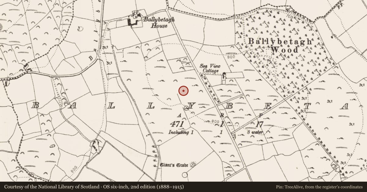 Ordnance Survey six-inch map, 2nd edition (1888–1915) covering the location of Hut site, Ballybetagh, County Dublin, with a pin at the register's coordinates