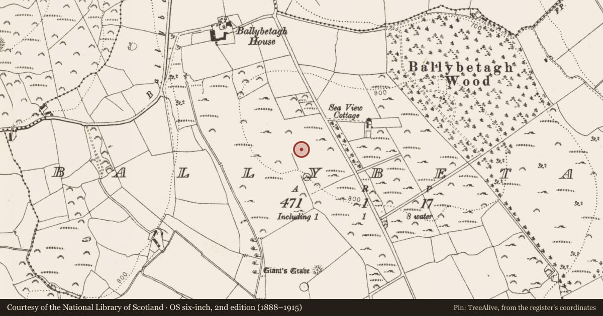 Ordnance Survey six-inch map, 2nd edition (1888–1915) covering the location of Ringfort - unclassified, Ballybetagh, County Dublin, with a pin at the register's coordinates