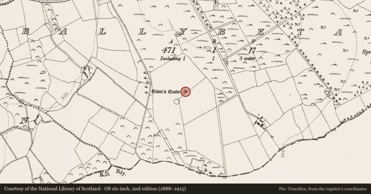 Ordnance Survey six-inch map, 2nd edition (1888–1915) covering the location of Standing stone, Ballybetagh, County Dublin, with a pin at the register's coordinates