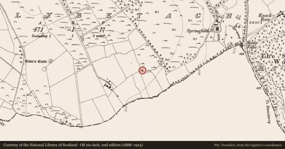 Ordnance Survey six-inch map, 2nd edition (1888–1915) covering the location of Enclosure, Ballybetagh, County Dublin, with a pin at the register's coordinates