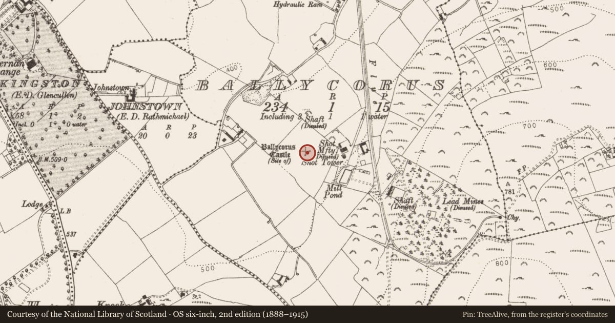 Ordnance Survey six-inch map, 2nd edition (1888–1915) covering the location of Castle - tower house, Ballycorus, County Dublin, with a pin at the register's coordinates