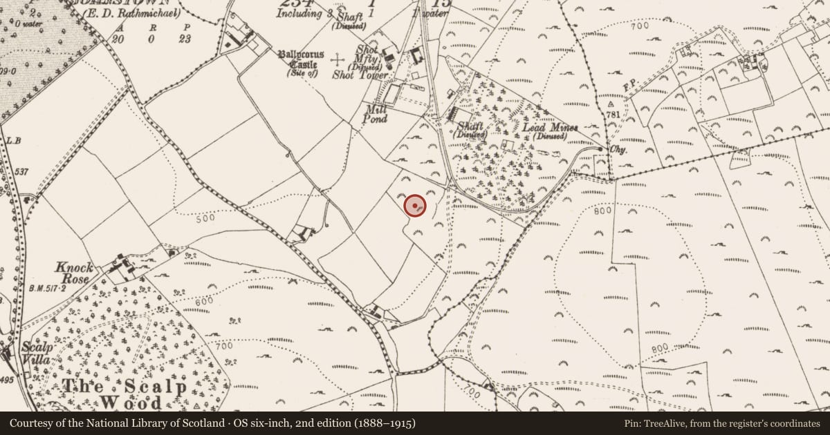 Ordnance Survey six-inch map, 2nd edition (1888–1915) covering the location of Ringfort - unclassified, Ballycorus, County Dublin, with a pin at the register's coordinates