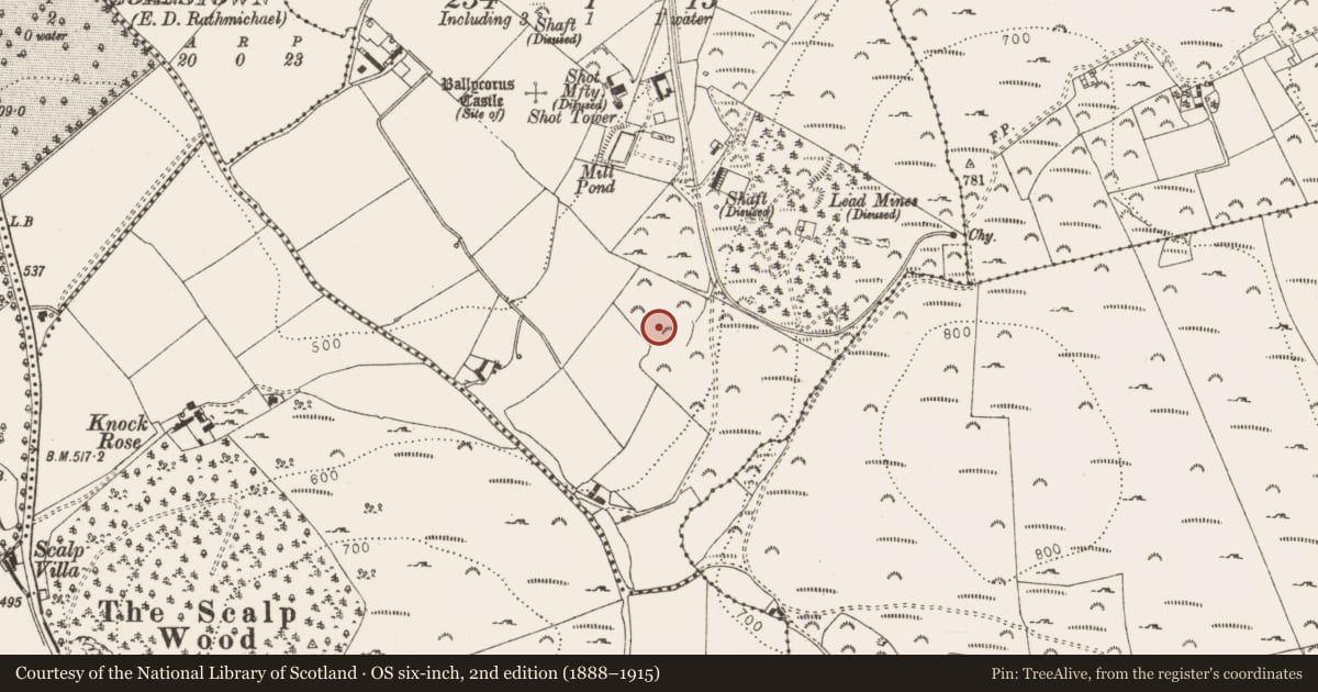 Ordnance Survey six-inch map, 2nd edition (1888–1915) covering the location of Field system, Ballycorus, County Dublin, with a pin at the register's coordinates
