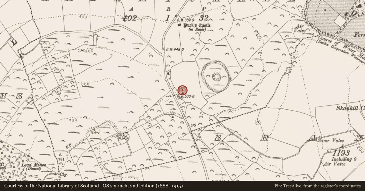 Ordnance Survey six-inch map, 2nd edition (1888–1915) covering the location of Ringfort - unclassified, Rathmichael, County Dublin, with a pin at the register's coordinates