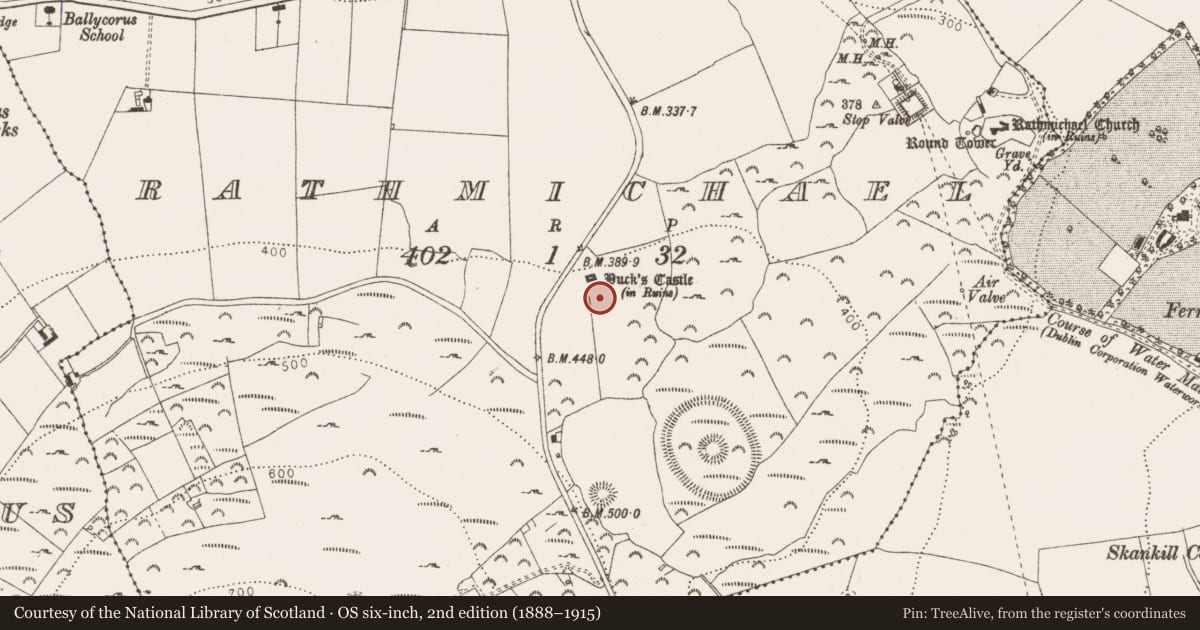 Ordnance Survey six-inch map, 2nd edition (1888–1915) covering the location of Well, Rathmichael, County Dublin, with a pin at the register's coordinates