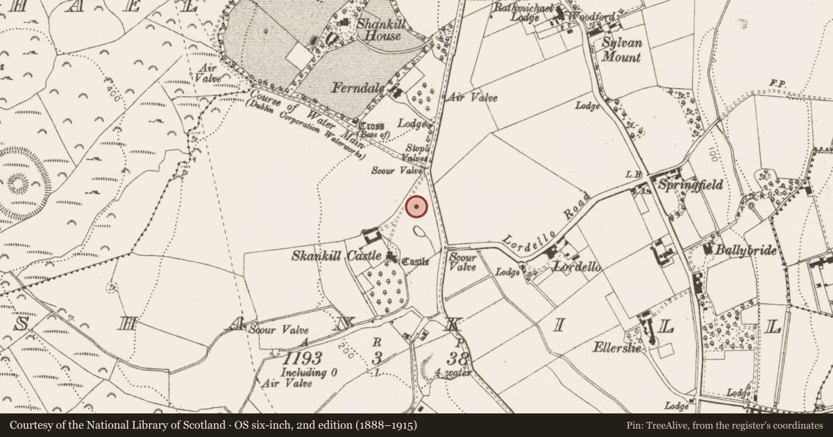 Ordnance Survey six-inch map, 2nd edition (1888–1915) covering the location of Settlement deserted - medieval, Shankill, County Dublin, with a pin at the register's coordinates